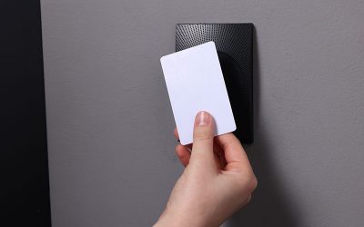 Guida alla scelta